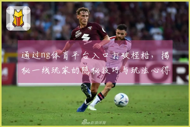 通过ng体育平台入口打破桎梏，揭秘一线玩家的隐秘技巧与玩法心得