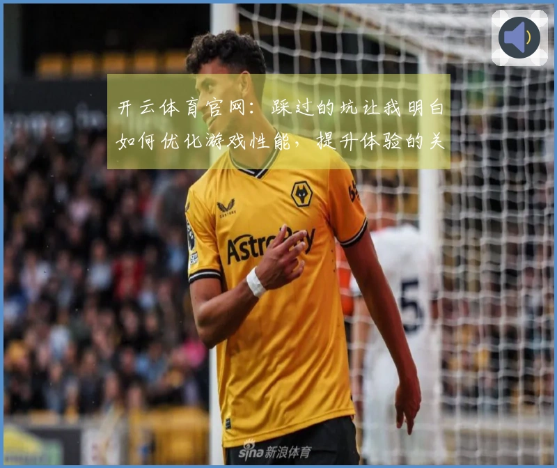 开云体育官网：踩过的坑让我明白如何优化游戏性能，提升体验的关键技巧