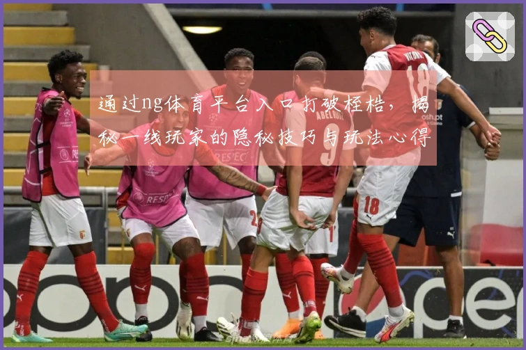 通过ng体育平台入口打破桎梏，揭秘一线玩家的隐秘技巧与玩法心得