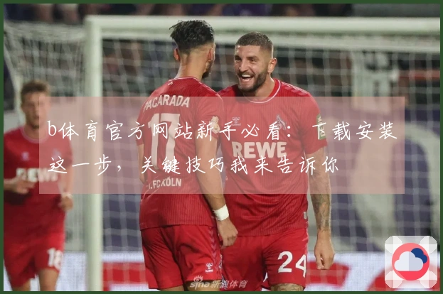 b体育官方网站新手必看：下载安装这一步，关键技巧我来告诉你